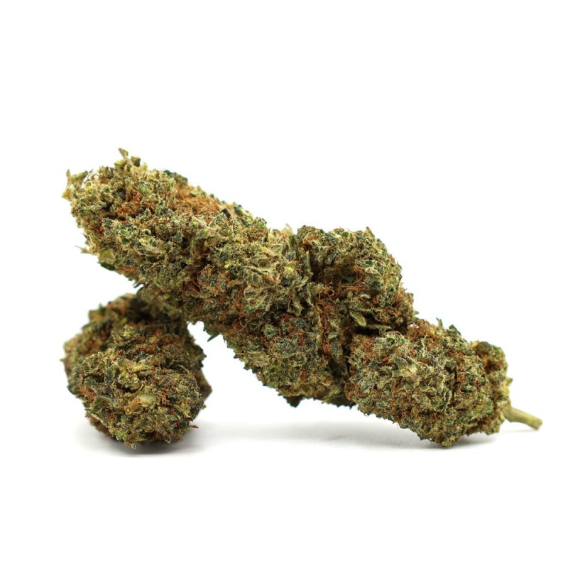 JEALOUSY 35% FLORI THCA