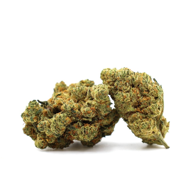 CHAMPAGNE HAZE 36% FLOARE THCA