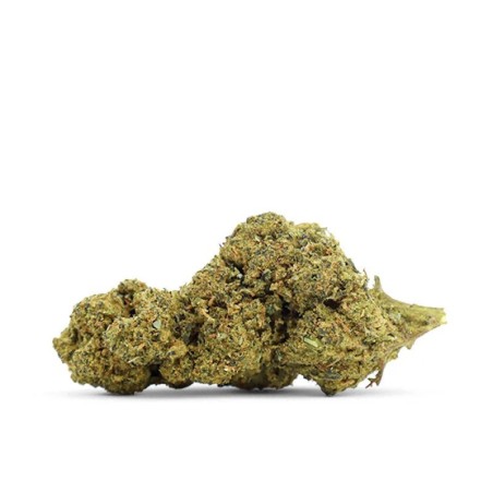 EARLY GIRL 30% FLOARE... - alt