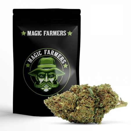 WAKE AND BAKE 30% FLOARE 10-OH-HHC