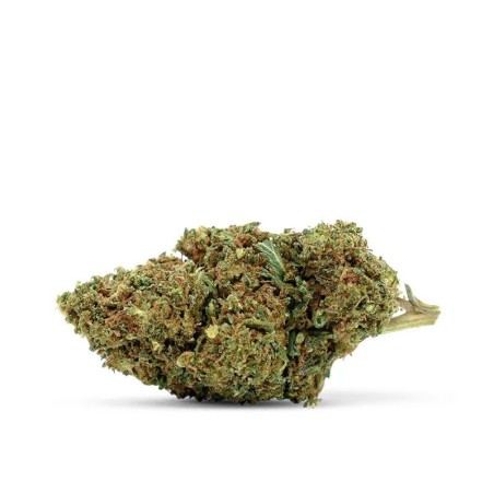 WAKE AND BAKE 30% FLOARE... - alt