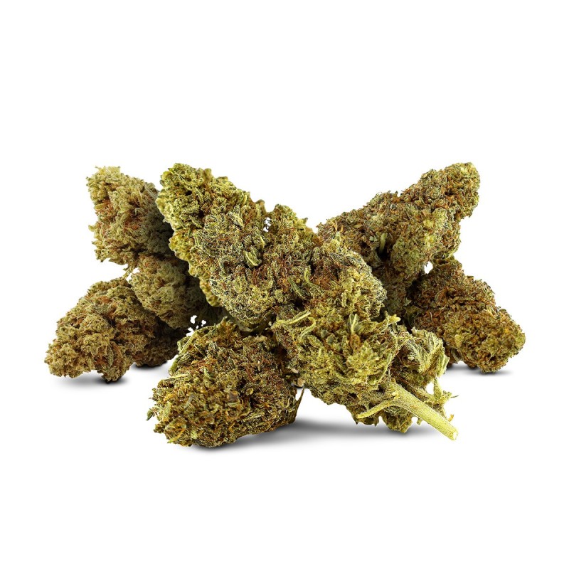 FLOARE DESTOCK MIX 10-OH-HHC