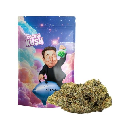 ELON DREAM FLOARE HEC-10