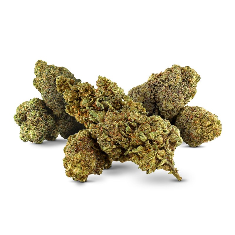 FLOARE DESTOCK MIX MAGIC SAUCE