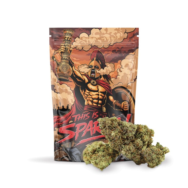 THIS IS SPARTA! 50% FLOARE MAGIC SAUCE