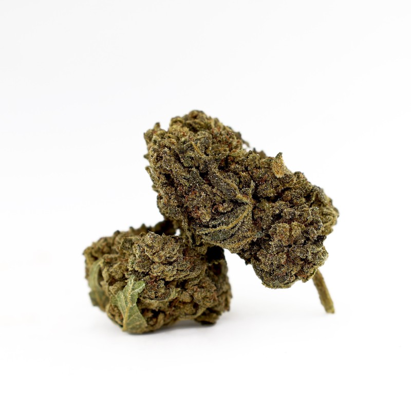 DONNY BURGER 50% MAGIC SAUCE FLOARE