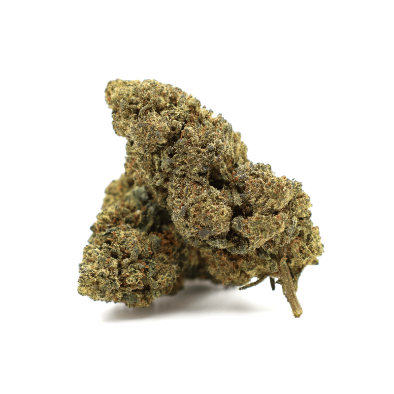 TINKY WINKY 50% MAGIC SAUCE FLOARE