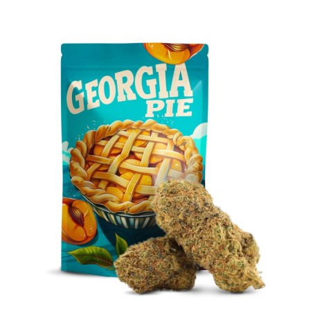 GEORGIA PIE 32% THCA FLOARE