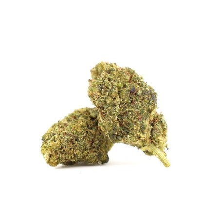 PANNA COTTA 34% THCA FLOARE - alt