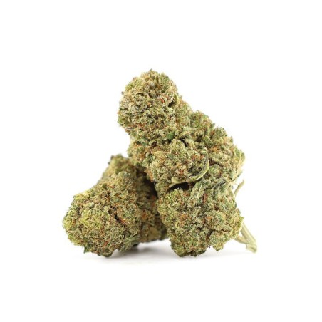 DIDDY'S LOTION 23% THCA FLOARE - alt