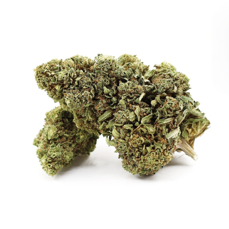 GRAPE ZENZU THCA FLOARE