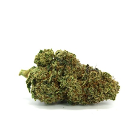 GMO COOKIES 50% FLOARE CBD