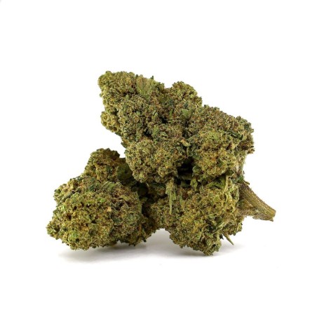 AMNESIA 50% FLOARE CBD