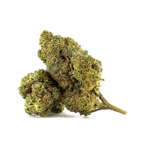 WHITE CHOCO SKITTLEZ FLOARE... - alt