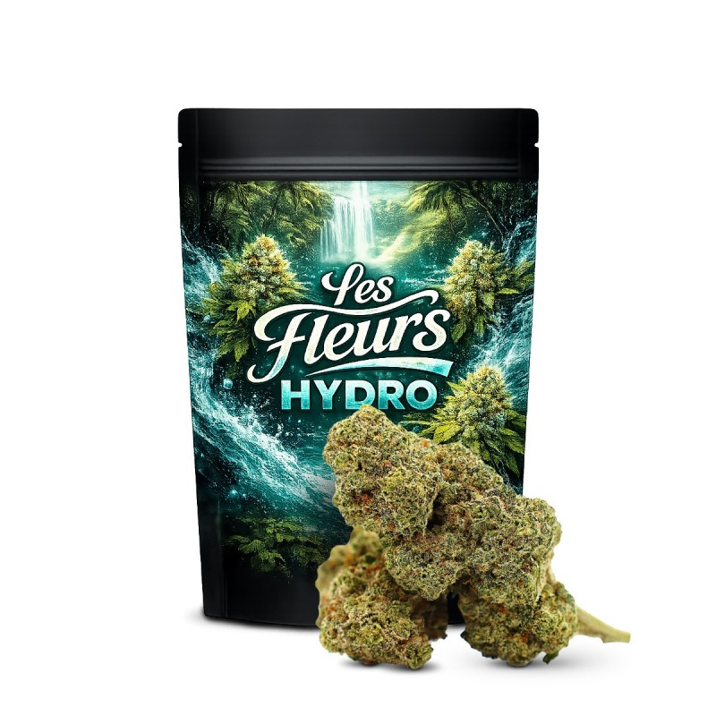 GAZ CANDY FLOARE THCA