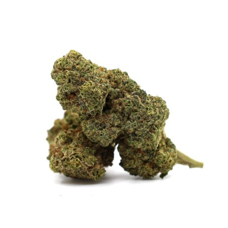 GAZ CANDY FLOARE THCA - alt