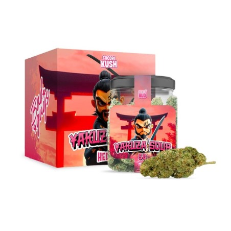 Yakuza Sour HEC-10 : Floare Puternică cu Arome Acidulate