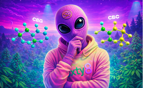 CBG vs CBC: care sunt diferențele?