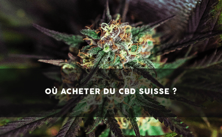 De unde să cumpărați CBD în Elveția? - Sixty8