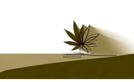 Cum să alegi o sămânță de canabis?