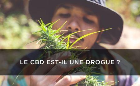 CBD (cannabidiol) este un drog?