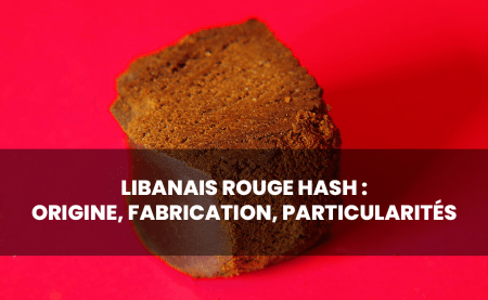 Libanez Roșu: toate informațiile despre acest hașiș CBD