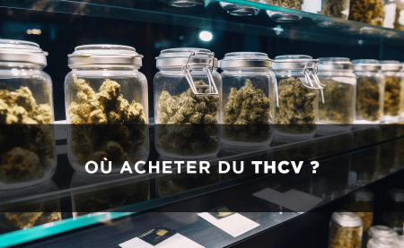 De unde se poate cumpăra THCV? Toate sfaturile și informațiile noastre utile