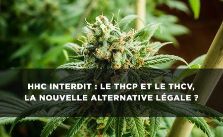 THCP, THCV, alternativele legale la HHC