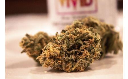 Cum să vă păstrați florile de CBD: ghid complet pentru a le menține calitatea și prospețimea