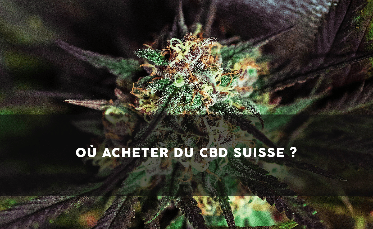 De unde să cumpărați CBD în Elveția? - Sixty8