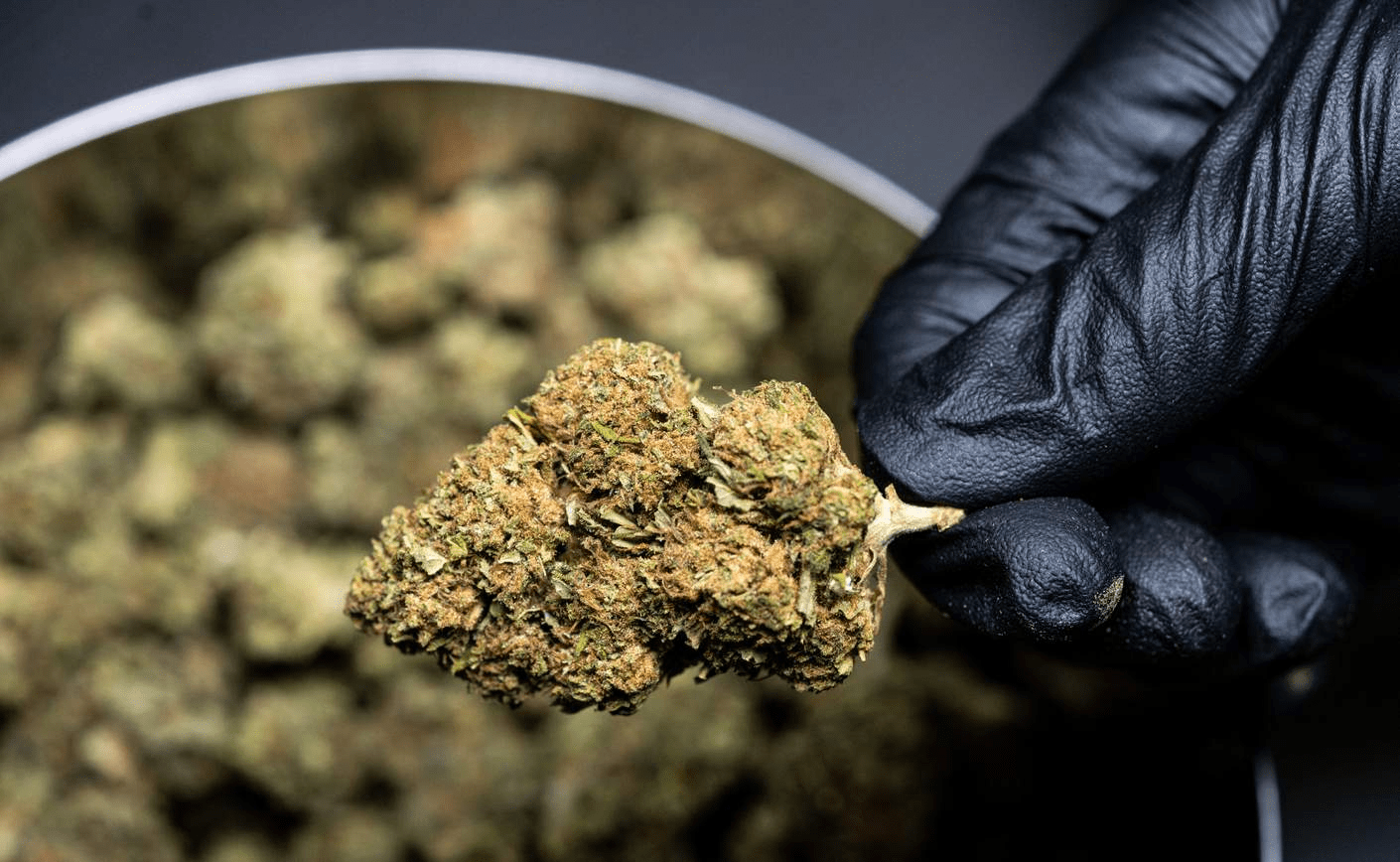 CBD ieftin: găsiți produse elvețiene la cel mai bun preț!