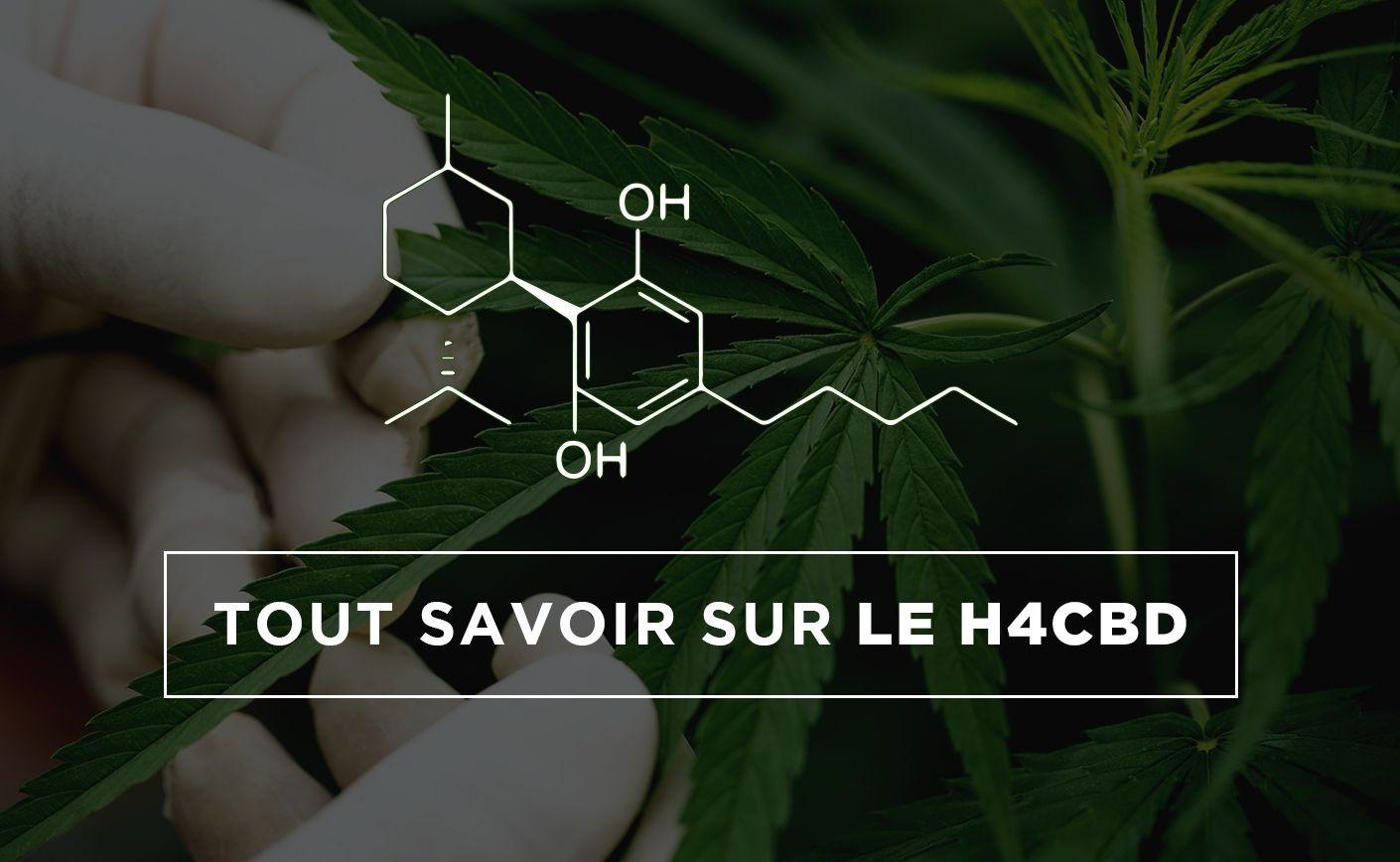H4CBD/HHC: prezentarea noii molecule la modă