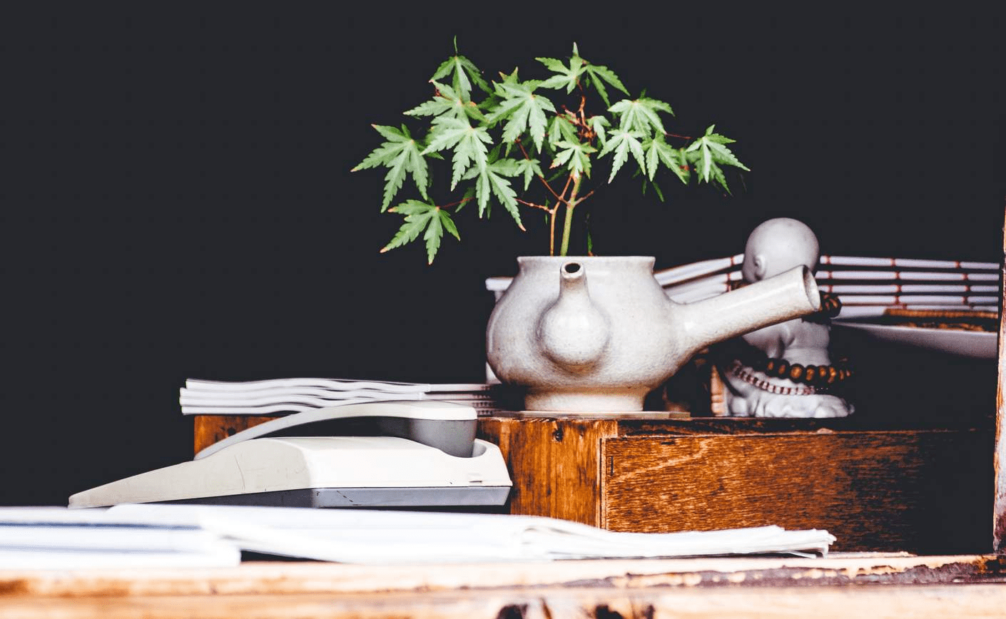 Ceai cu CBD: Cum să vă preparați ceaiul cu canabidiol?