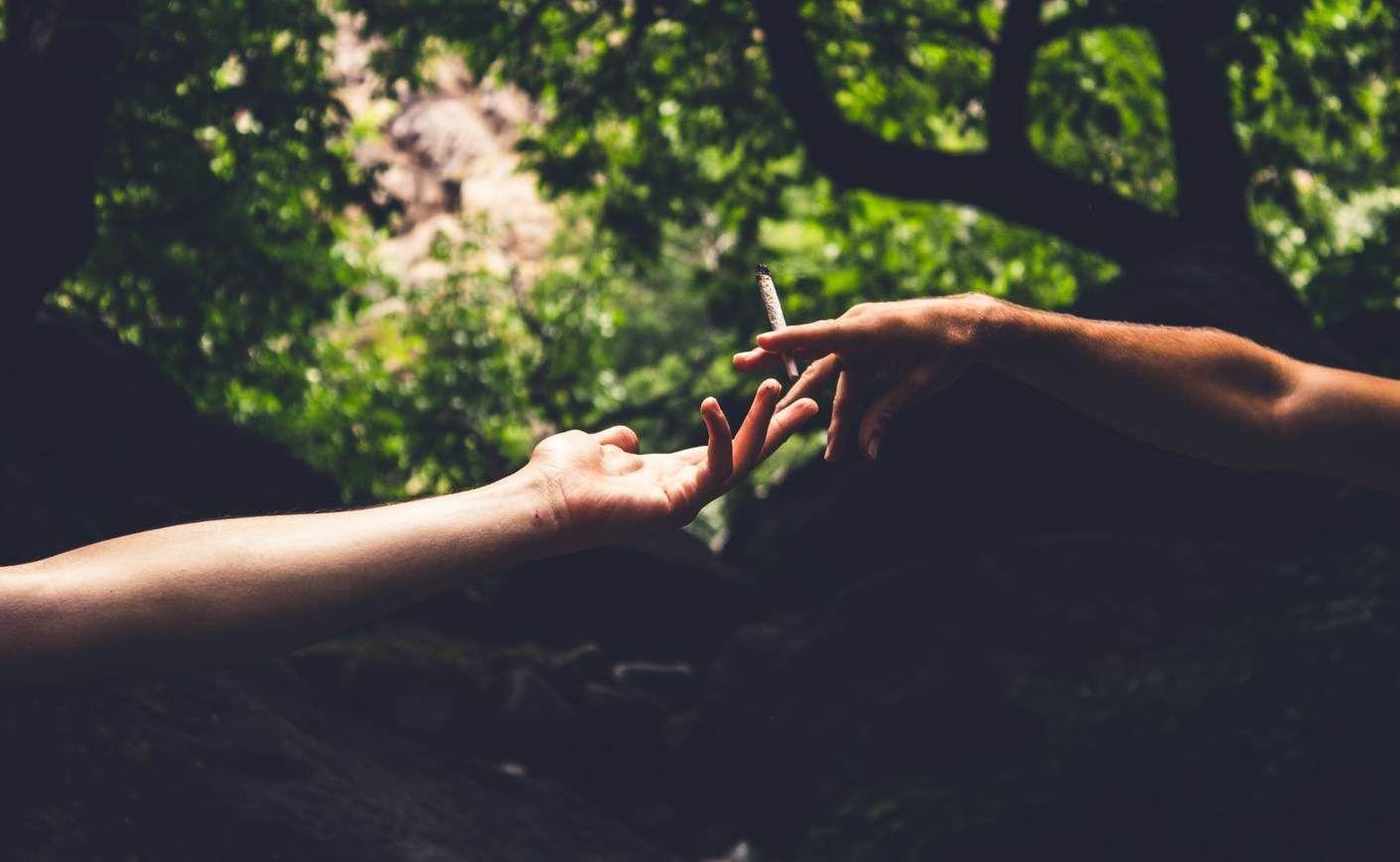 CBD: Toate informațiile utile