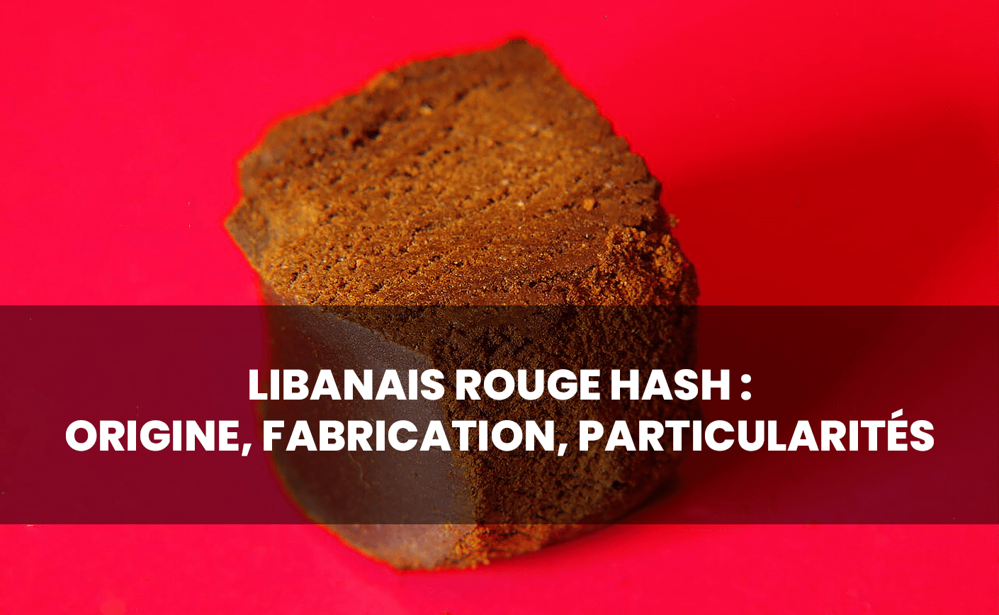 Libanez Roșu: toate informațiile despre acest hașiș CBD