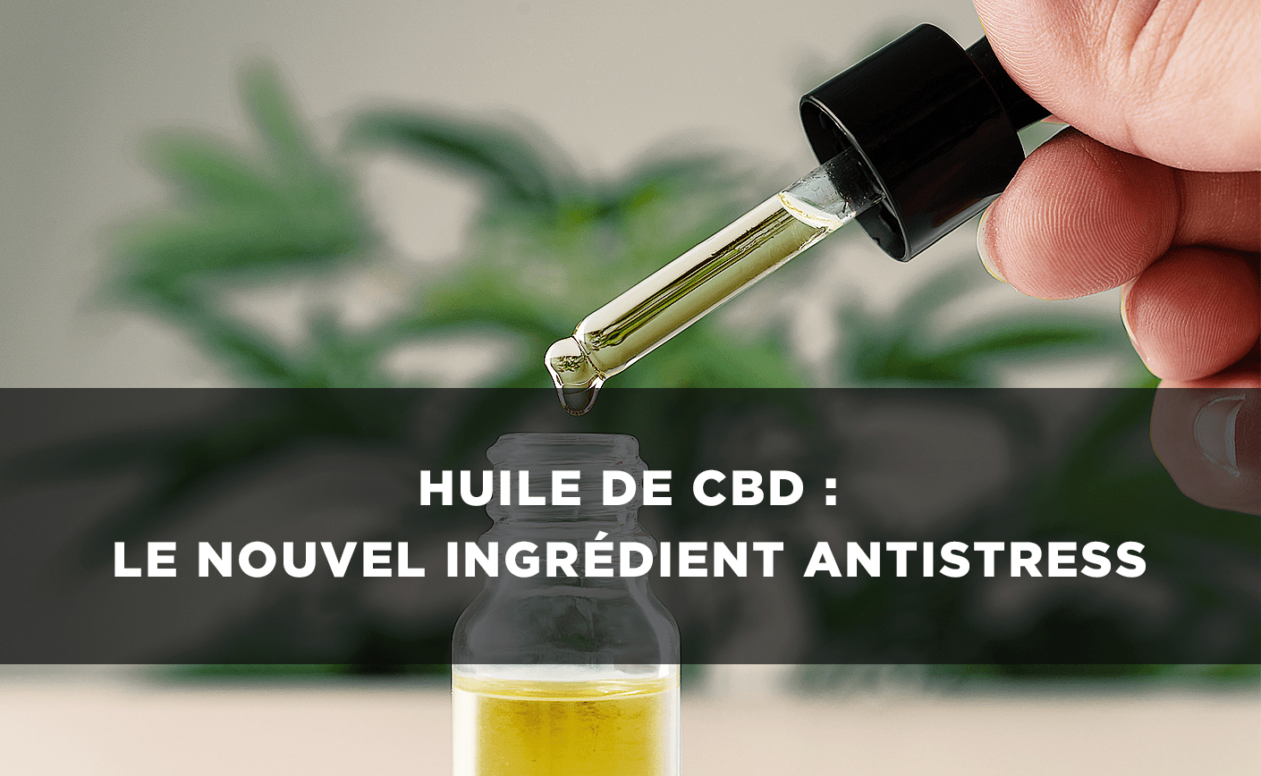 Uleiul de CBD: noul ingredient antistres