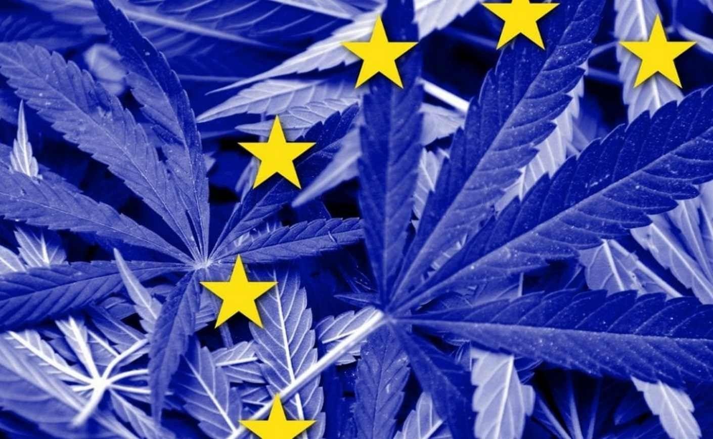 Cultivarea canabisului: Puteți cultiva CBD acasă în Franța?