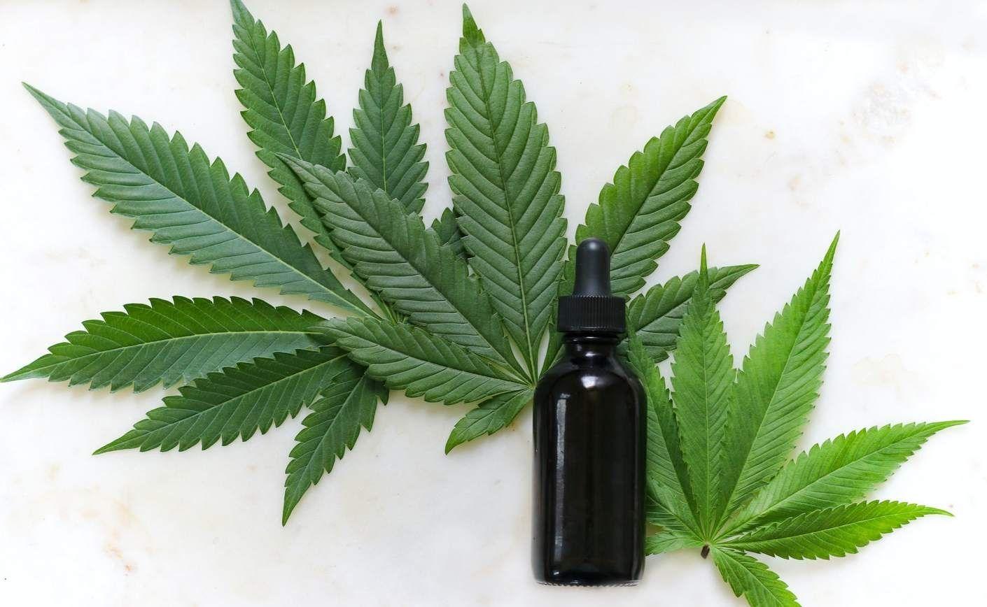 CBD și THC: Caracteristici, efecte și legislație