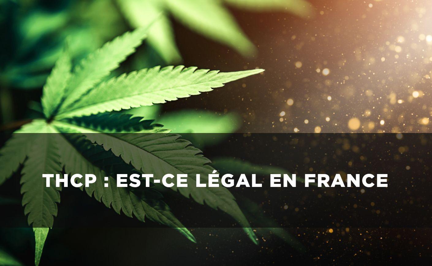 THCP: Este legal în Franța?