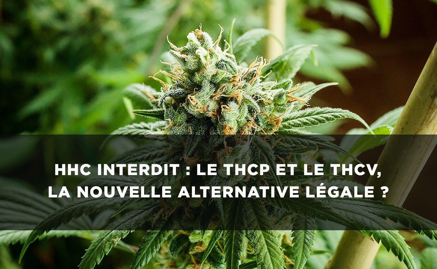 THCP, THCV, alternativele legale la HHC