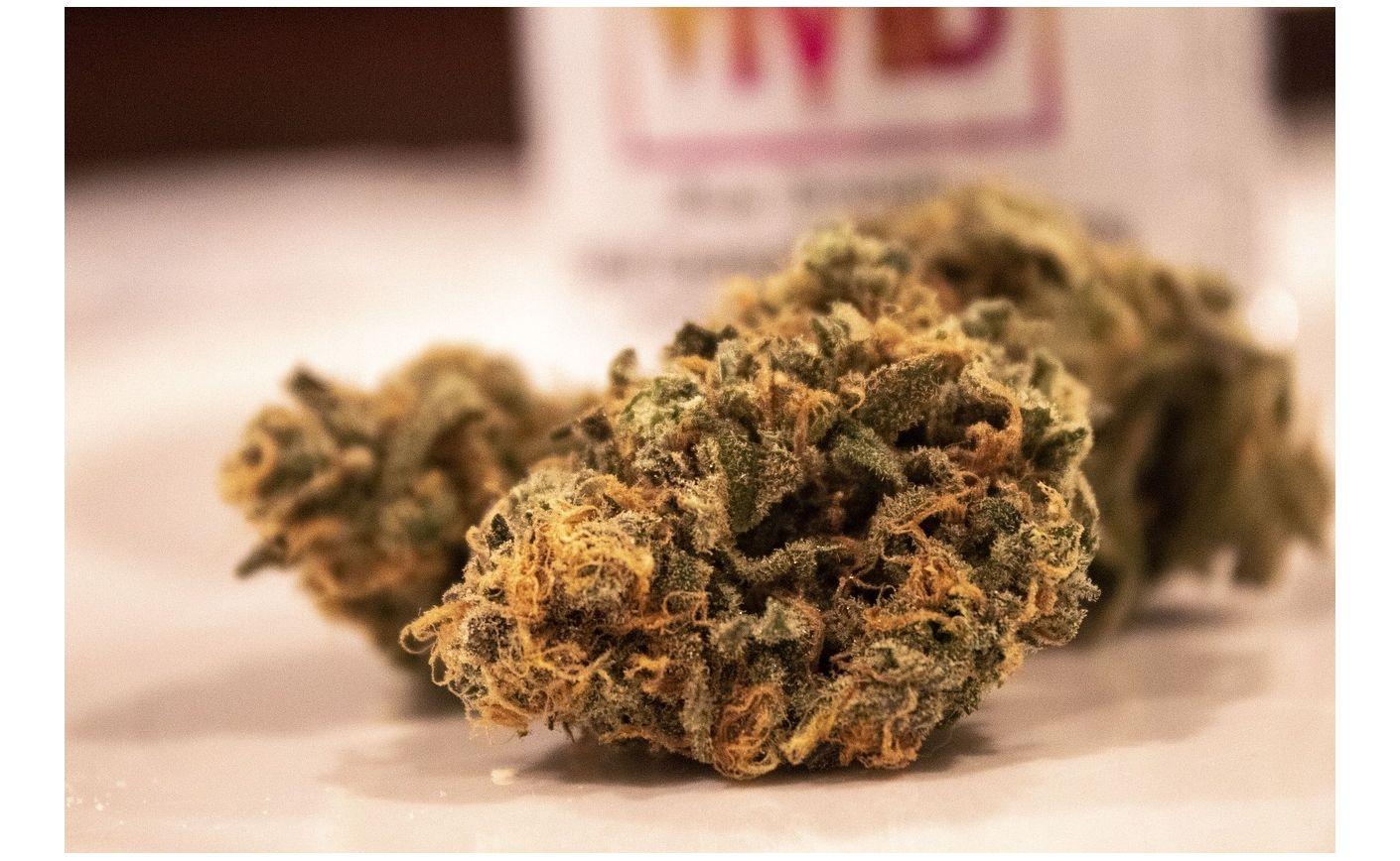 Cum să vă păstrați florile de CBD: ghid complet pentru a le menține calitatea și prospețimea